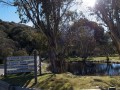 0110-1004 Thredbo (1106029)